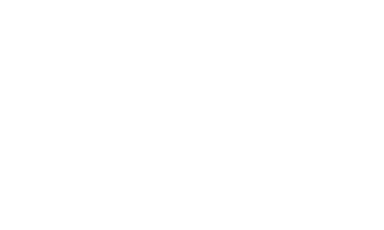 Guía